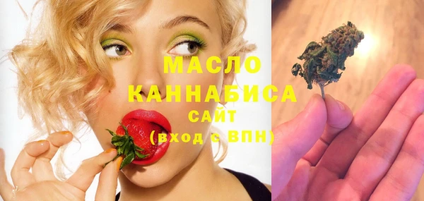 индика Беломорск