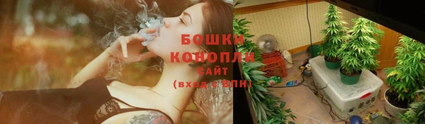 амф Белокуриха