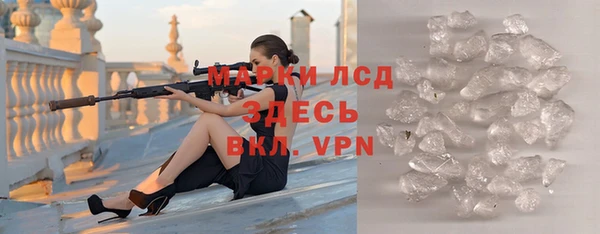 индика Беломорск