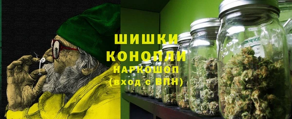 индика Беломорск